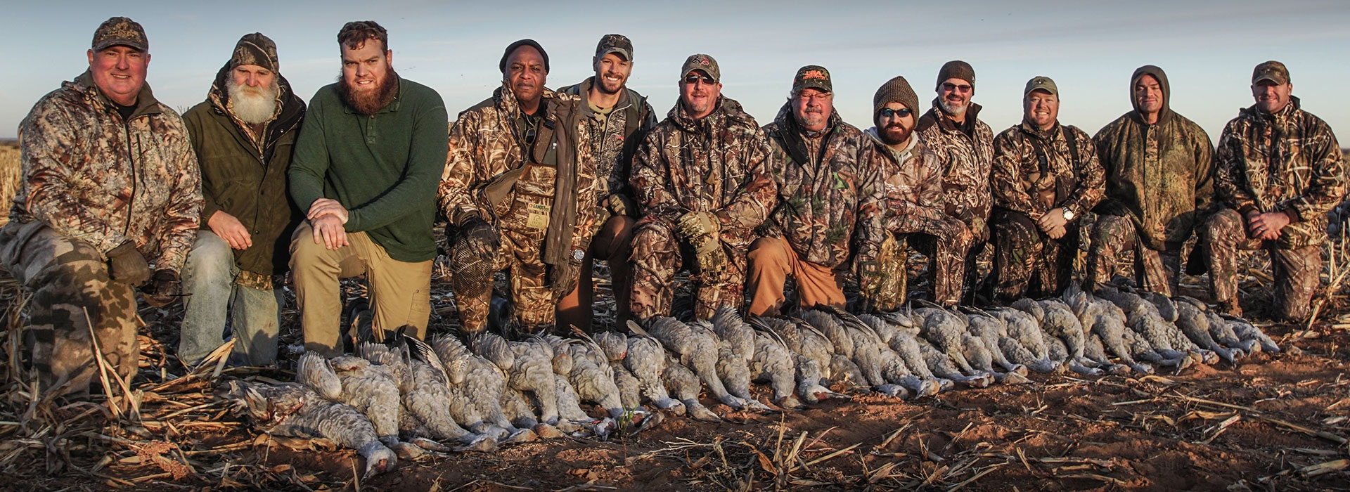 Sandhill Crane Hunting