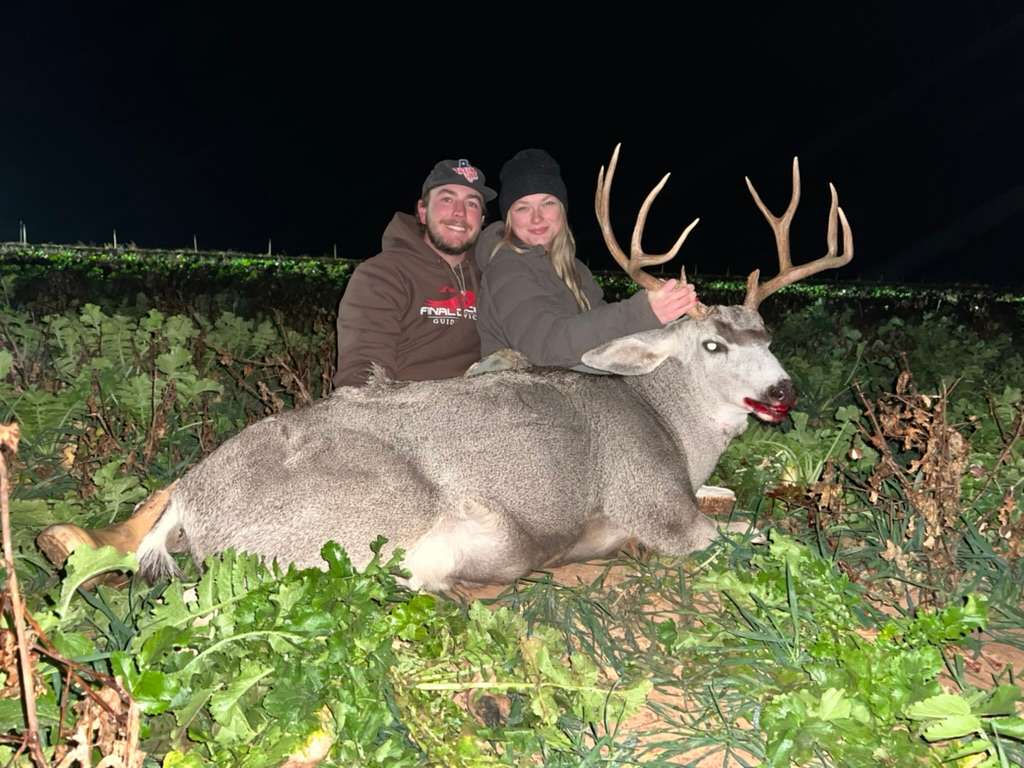 Mule Deer in Texas