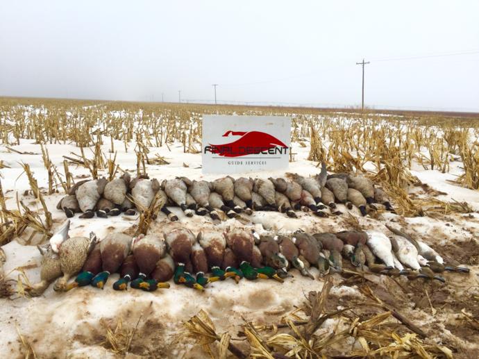 Duck Hunts on Private Land Texas