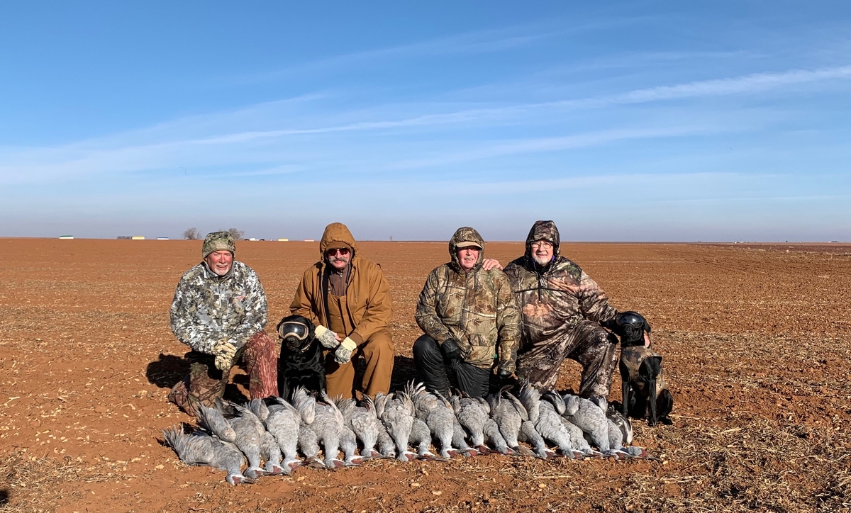Sandhill Crane Hunts - Lubbock TX